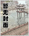叶飞袁静章节列表